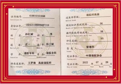 中医传国脉  岐伯济天下  无形针第十六代掌门人一代宗师---孙红斌