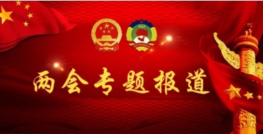 贯彻落实两会精神特别报道  中国著名国医大师——齐生亮