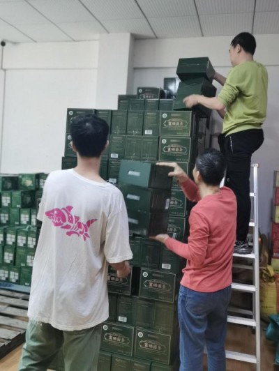 五一特别报道孔岩：以“三农”论述为引，拓富硒食叶草产业新途